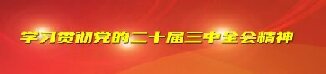 学习贯彻党的二十届三中全会精神